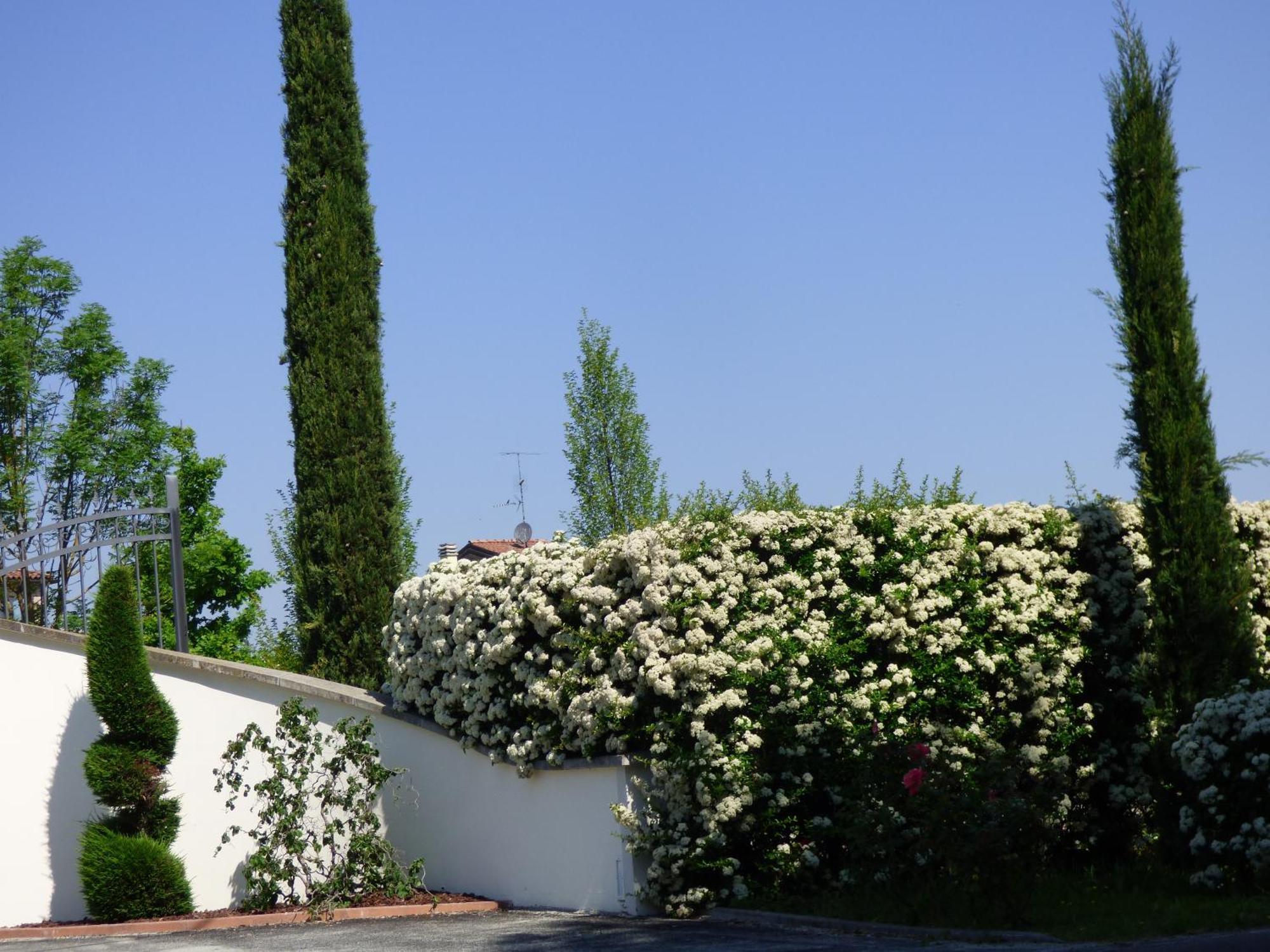 Boutique Hotel San Giovanni San Giovanni in Persiceto Kültér fotó